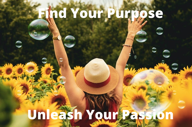 Find Your Purpose Find Your Passion